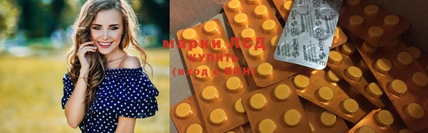 ГАЛЛЮЦИНОГЕННЫЕ ГРИБЫ Михайлов