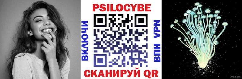 Галлюциногенные грибы Psilocybine cubensis  Купить  Керчь 